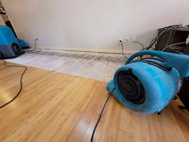 Professional Structural Drying technician working in Big Rock, TN